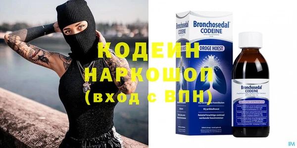 хмурый Бородино